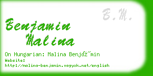 benjamin malina business card